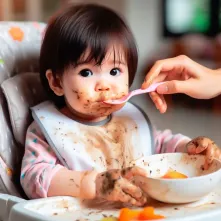 Higienização Assento Elevação Carro ou Alimentação BabyGoo